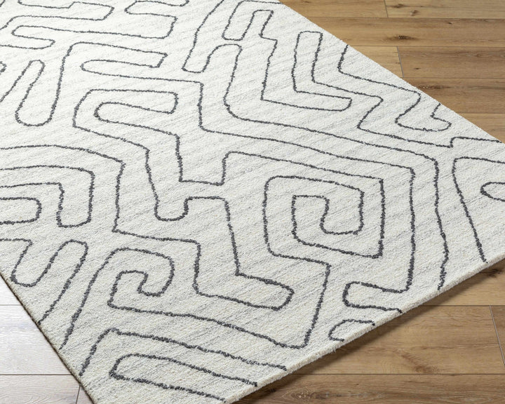 Raffi Ivory Contemporary and Tufted Wool Area Rug - The Rug Decor