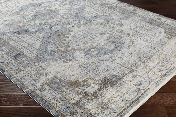 Randalia Traditional Style Gray And Blue Area Rug