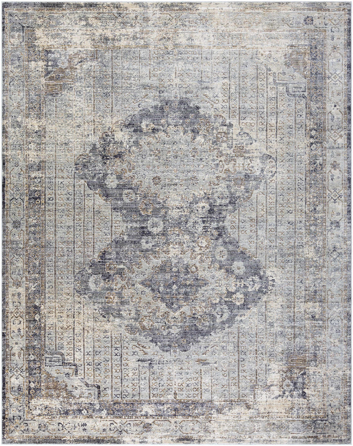 Randalia Traditional Style Gray And Blue Area Rug