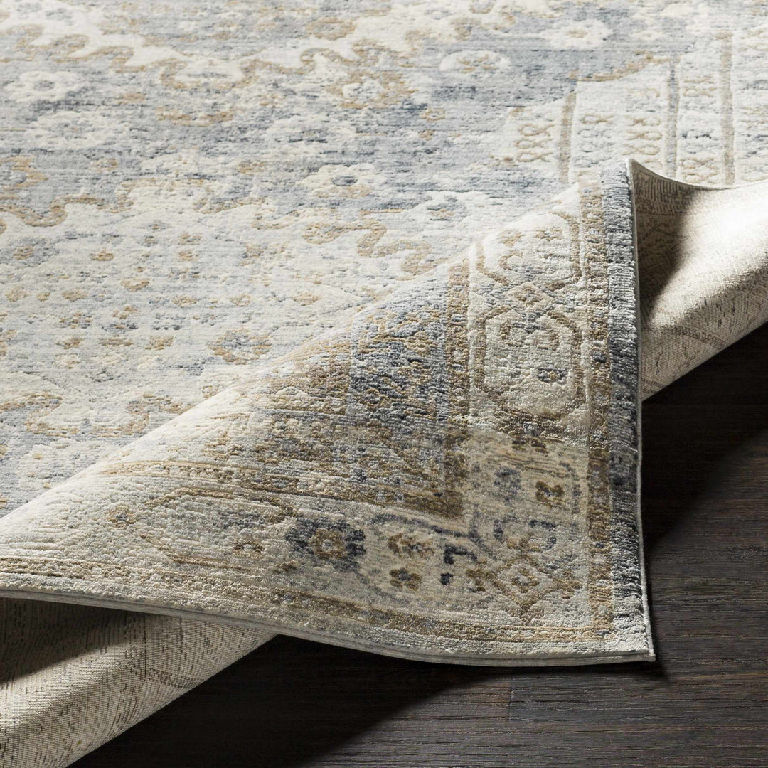 Randalia Traditional Style Gray And Blue Area Rug