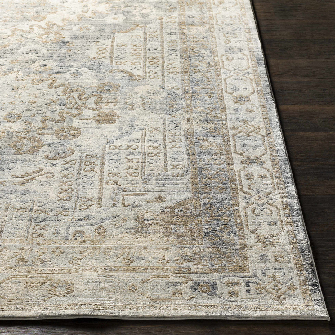 Randalia Traditional Style Gray And Blue Area Rug