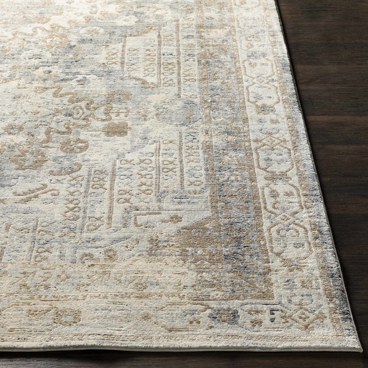 Randalia Traditional Style Gray And Blue Area Rug