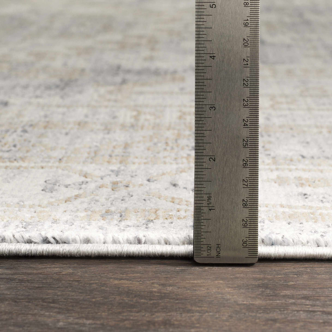 Randalia Traditional Style Gray And Blue Area Rug