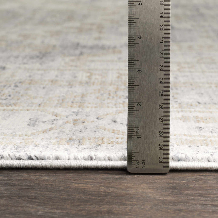 Randalia Traditional Style Gray And Blue Area Rug