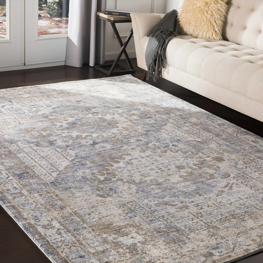 Randalia Traditional Style Gray And Blue Area Rug