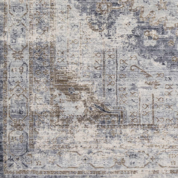 Randalia Traditional Style Gray And Blue Area Rug