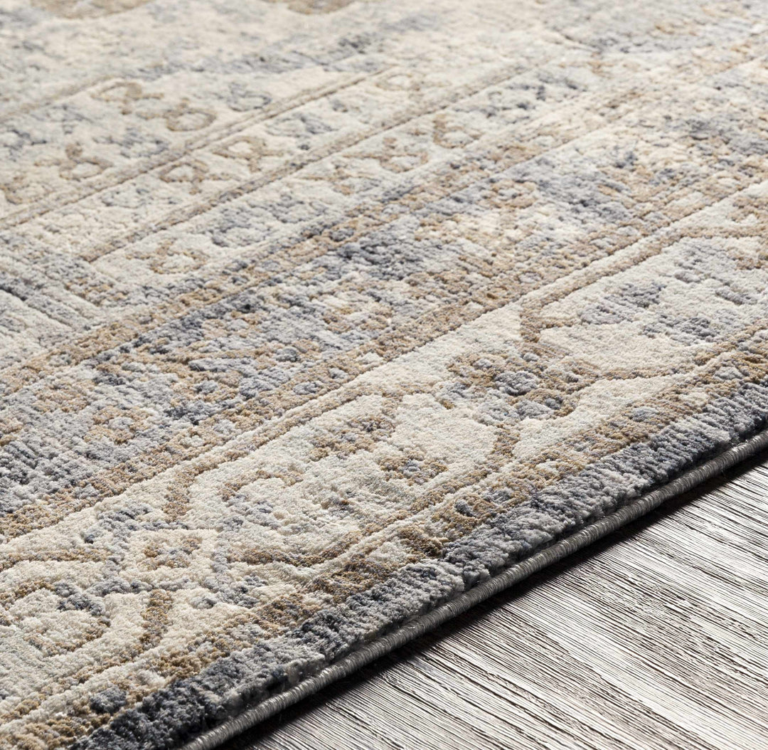 Randalia Traditional Style Gray And Blue Area Rug