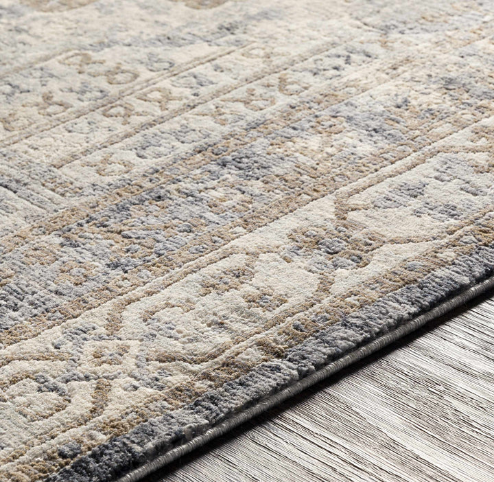 Randalia Traditional Style Gray And Blue Area Rug