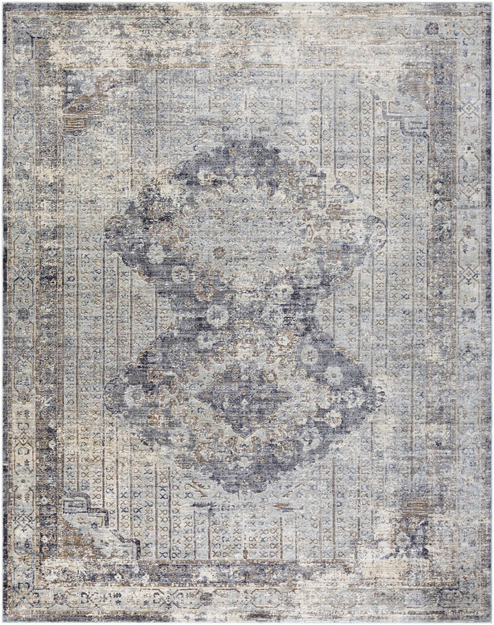 Randalia Traditional Style Gray And Blue Area Rug - The Rug Decor