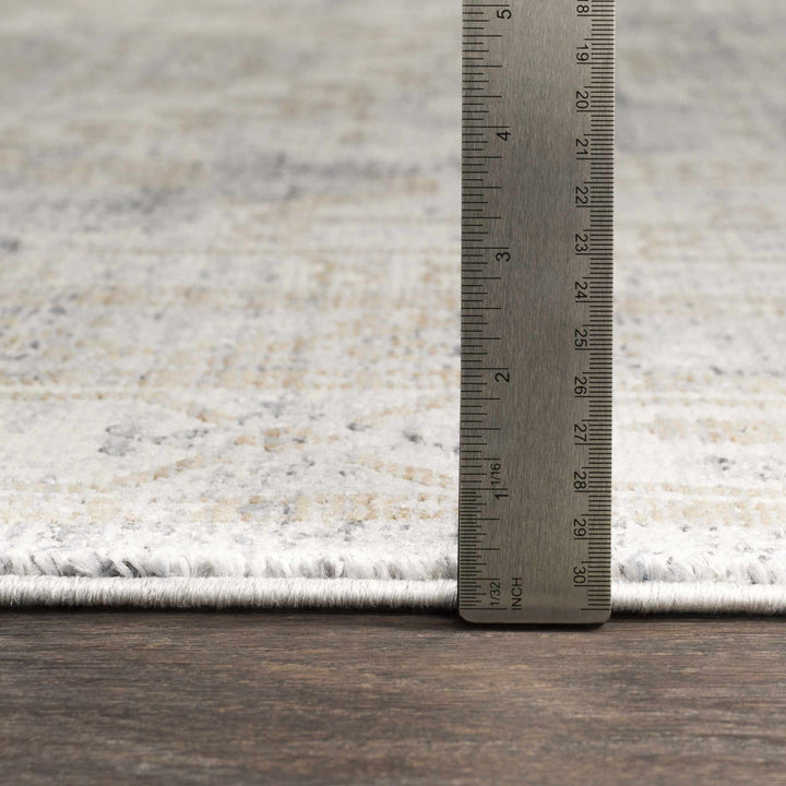 Randalia Traditional Style Gray And Blue Area Rug - The Rug Decor
