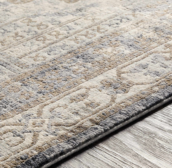 Randalia Traditional Style Gray And Blue Area Rug - The Rug Decor