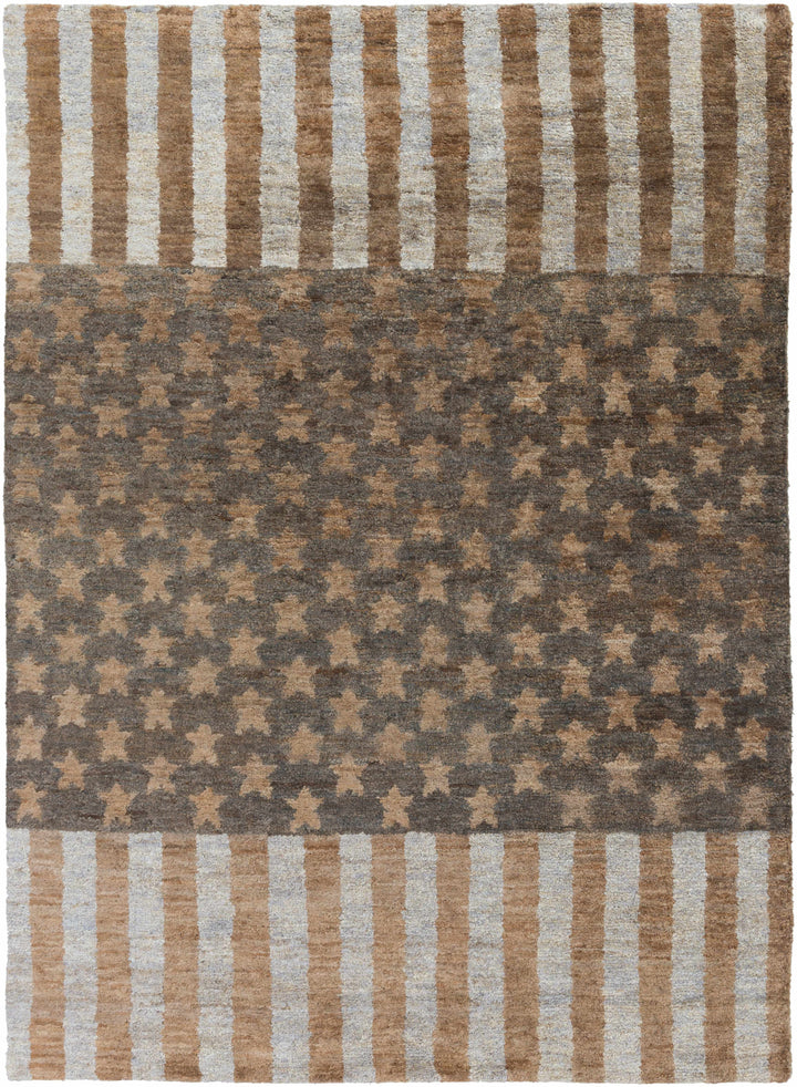 Randleman Brown Modern Style Hand Knotted Area Rug