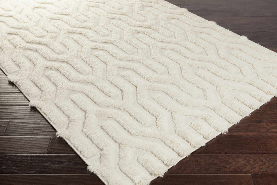 Ransom Contemporary Style Ivory Hand Woven Wool Area Rug