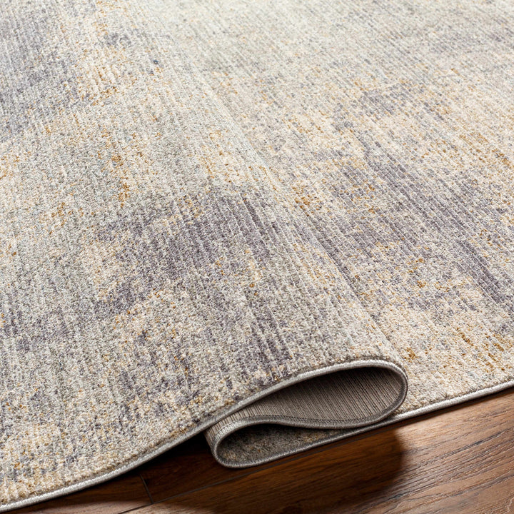 Razi Modern Abstract Design Beige And Gray Area Rug