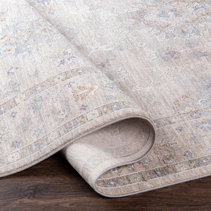 Rochedale Gray Traditional Floral Design Area Rug