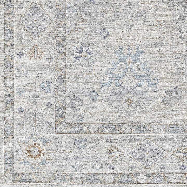 Rochedale Gray Traditional Floral Design Area Rug