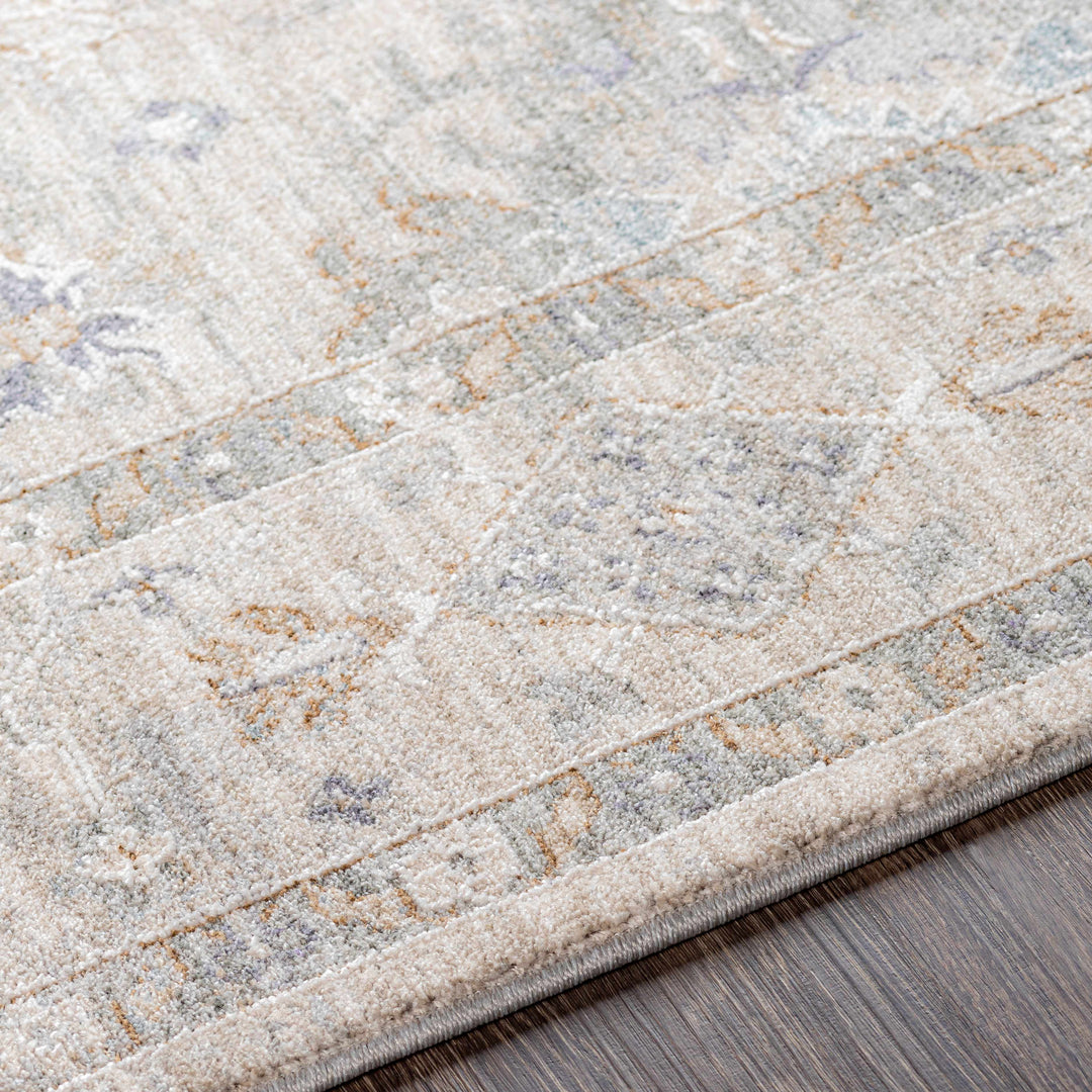 Rochedale Gray Traditional Floral Design Area Rug