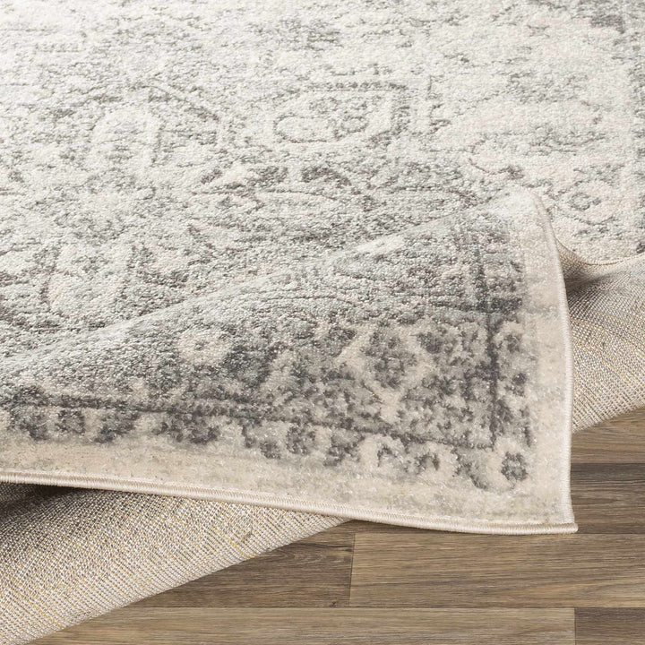 Rockfall Traditional Style Beige And Gray Area Rug