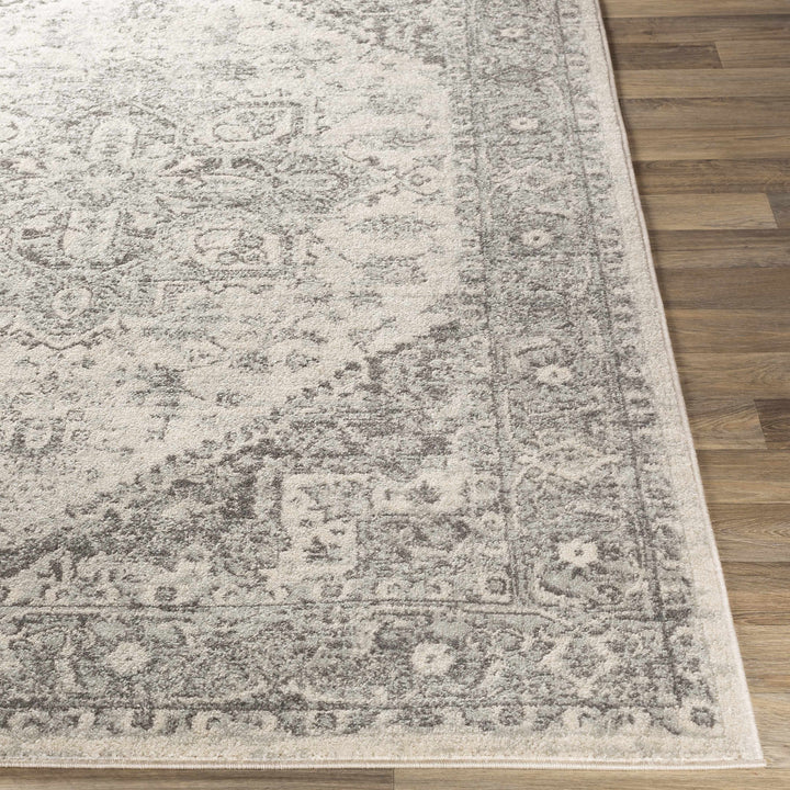 Rockfall Traditional Style Beige And Gray Area Rug
