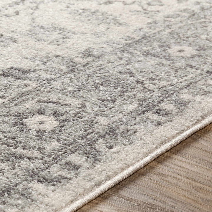 Rockfall Traditional Style Beige And Gray Area Rug
