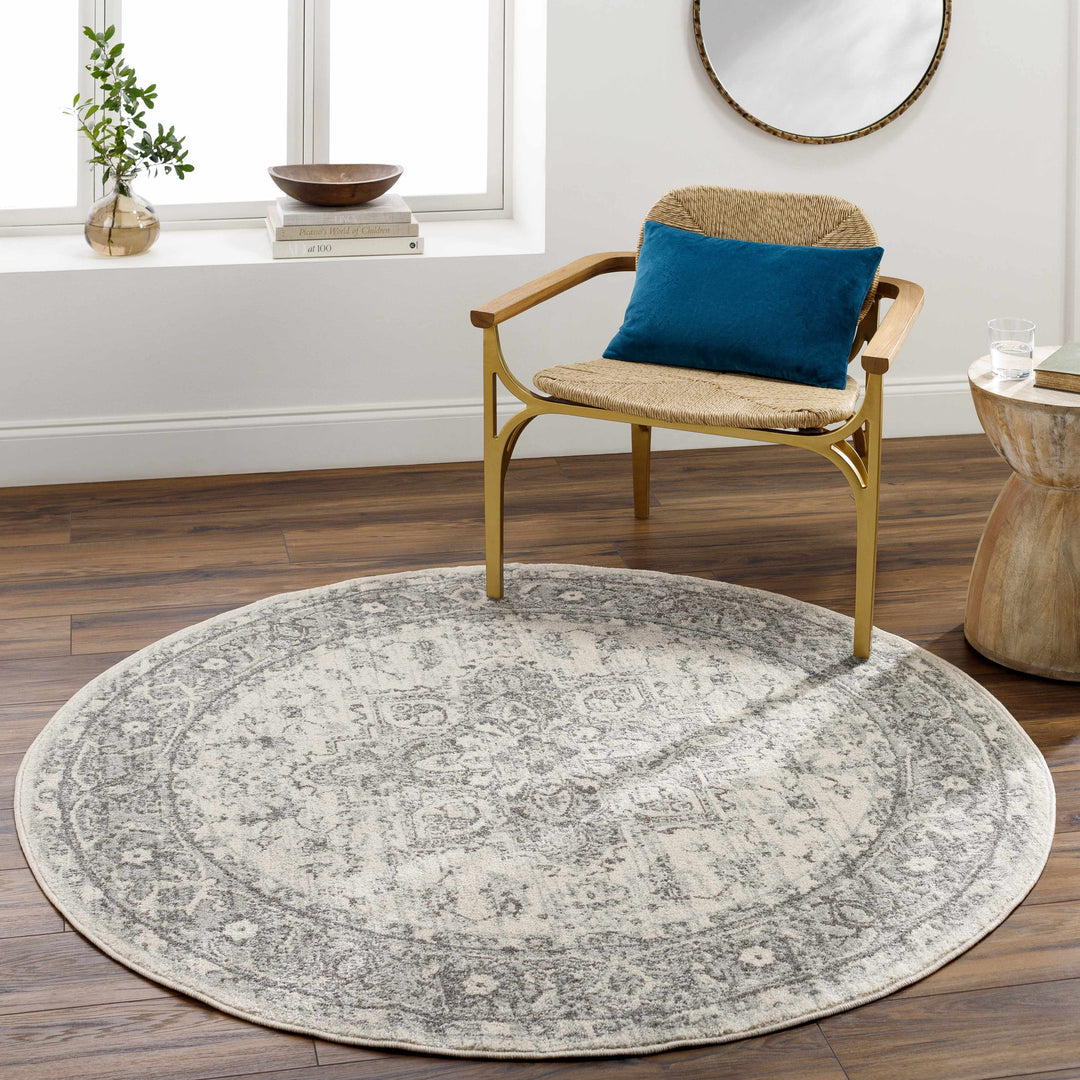 Rockfall Traditional Style Beige And Gray Area Rug