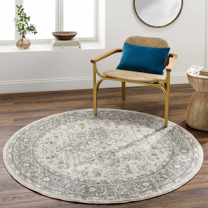 Rockfall Traditional Style Beige And Gray Area Rug