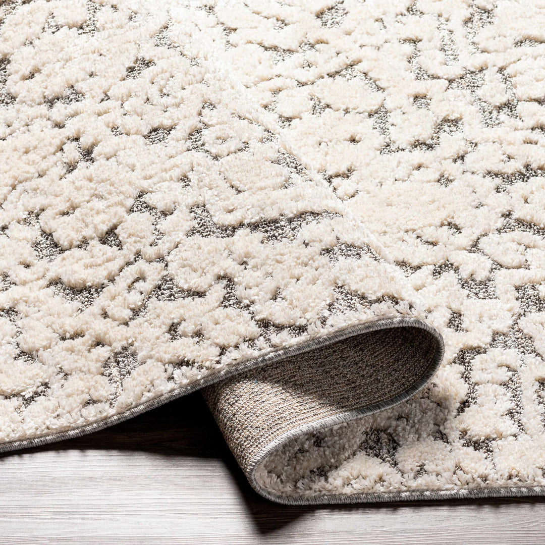 Rockeagle Ivory And Gray Modern Abstract Design Area Rug