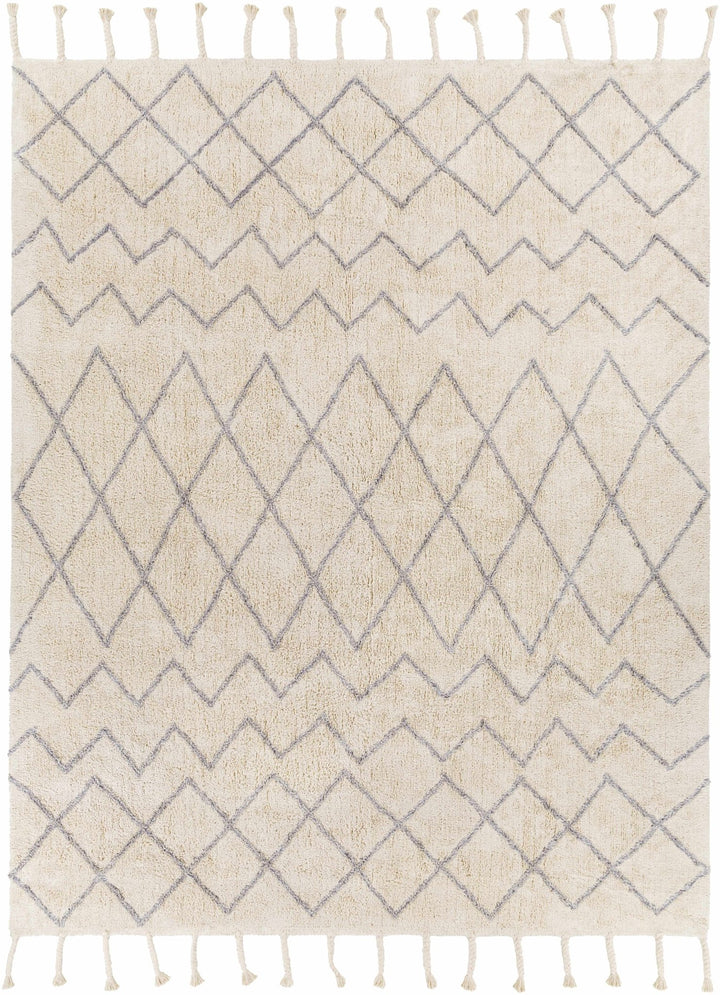 Redlands Modern Geometrical Ivory Hand Woven Area Rug - The Rug Decor