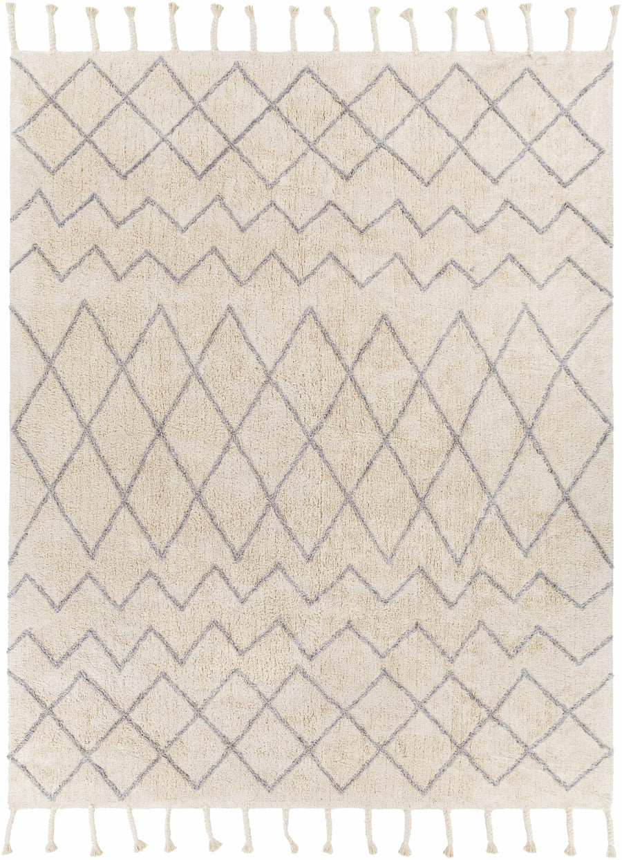 Redlands Modern Geometrical Ivory Hand Woven Area Rug - The Rug Decor