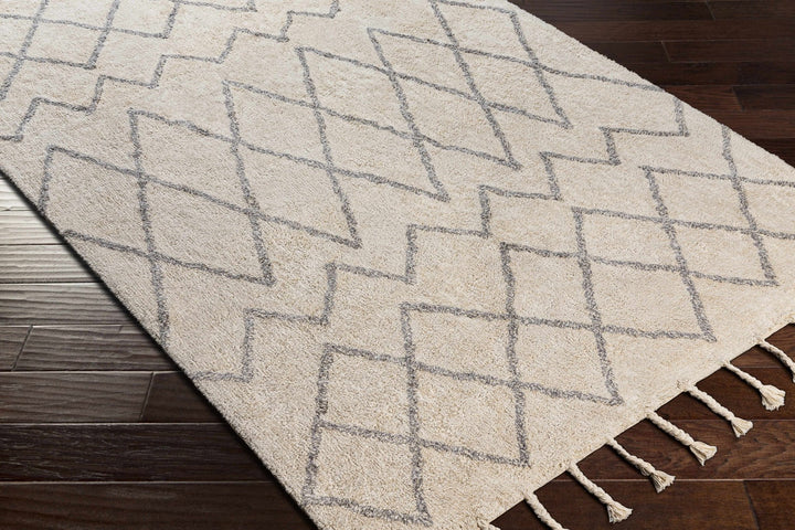 Redlands Modern Geometrical Ivory Hand Woven Area Rug - The Rug Decor