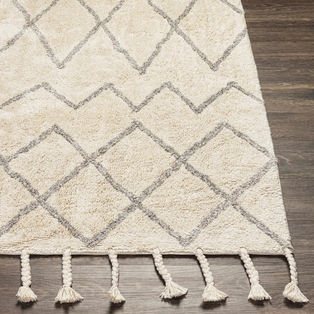 Redlands Modern Geometrical Ivory Hand Woven Area Rug - The Rug Decor