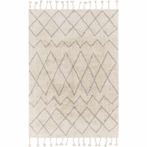 Redlands Modern Geometrical Ivory Hand Woven Area Rug - The Rug Decor