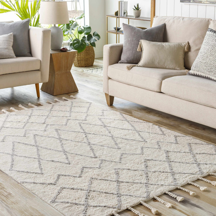 Redlands Modern Geometrical Ivory Hand Woven Area Rug - The Rug Decor