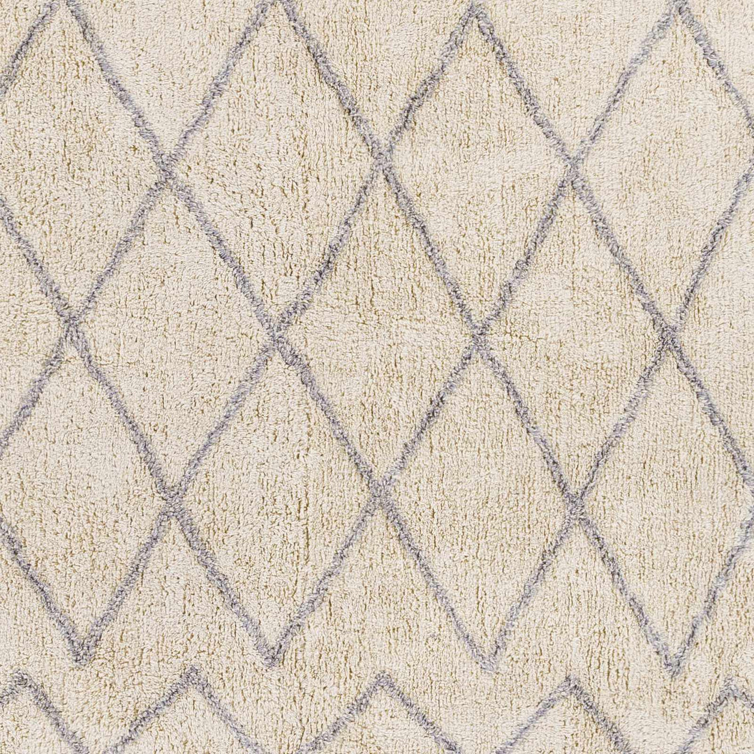 Redlands Modern Geometrical Ivory Hand Woven Area Rug - The Rug Decor