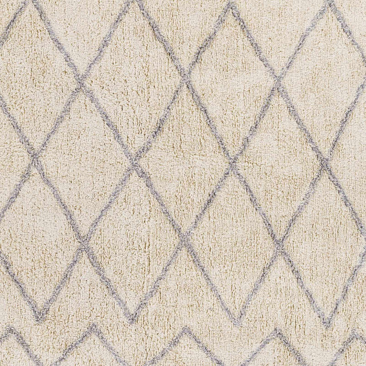 Redlands Modern Geometrical Ivory Hand Woven Area Rug - The Rug Decor