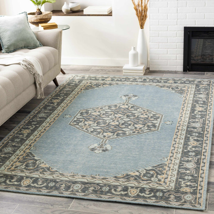 Renfrewshire Hand Knotted Blue And Charcoal Traditional Style Area Rug - The Rug Decor