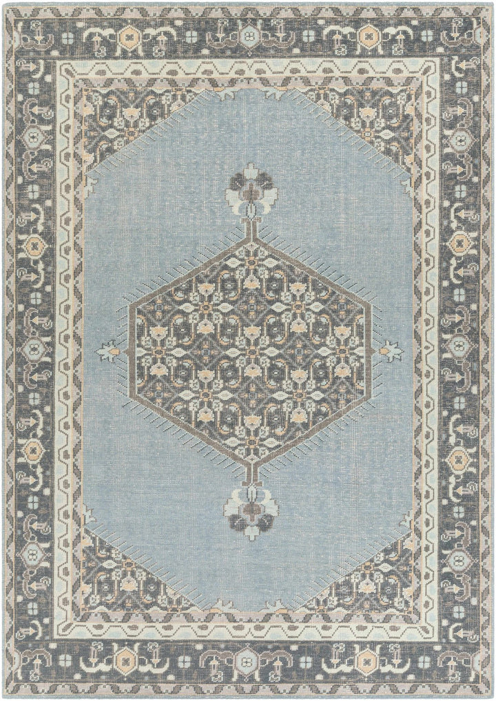 Renfrewshire Hand Knotted Blue And Charcoal Traditional Style Area Rug - The Rug Decor