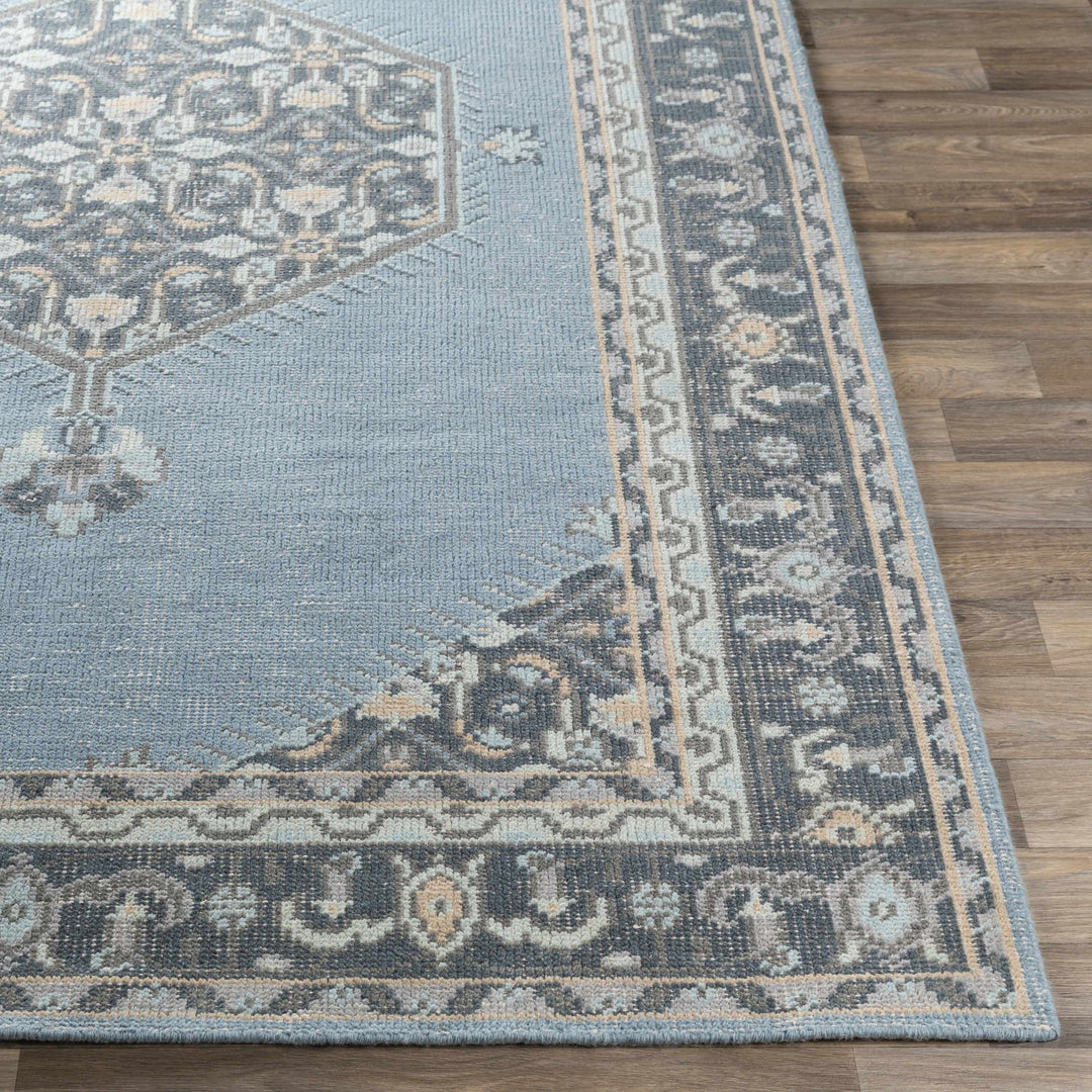 Renfrewshire Hand Knotted Blue And Charcoal Traditional Style Area Rug - The Rug Decor