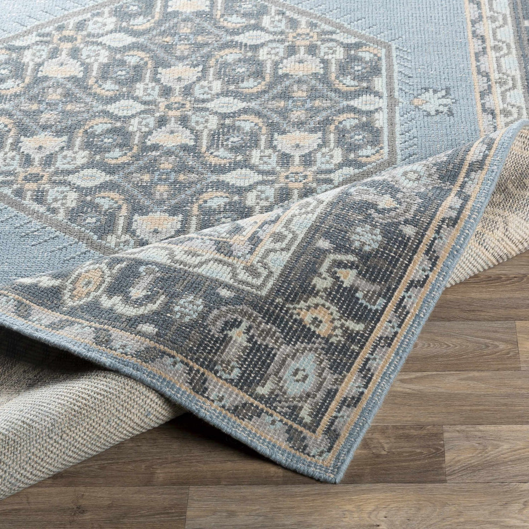 Renfrewshire Hand Knotted Blue And Charcoal Traditional Style Area Rug - The Rug Decor