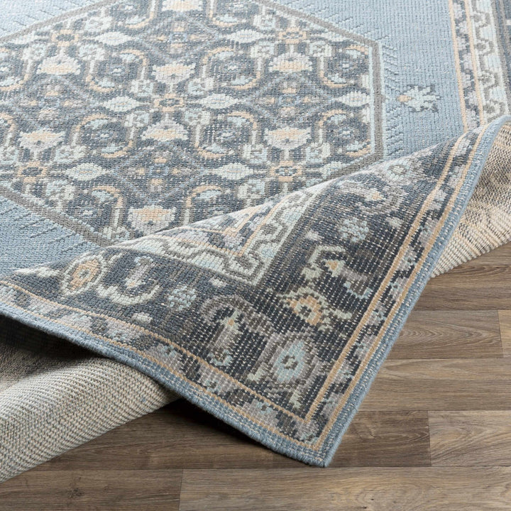 Renfrewshire Hand Knotted Blue And Charcoal Traditional Style Area Rug - The Rug Decor