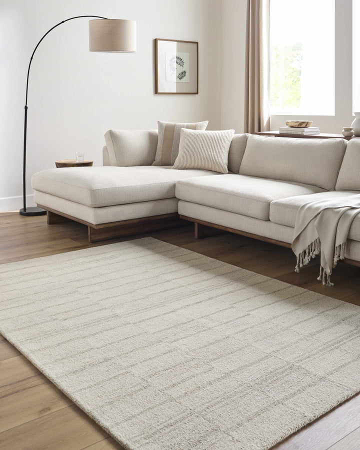 Onika Modern Style Gray Hand Tufted Wool Area Rug