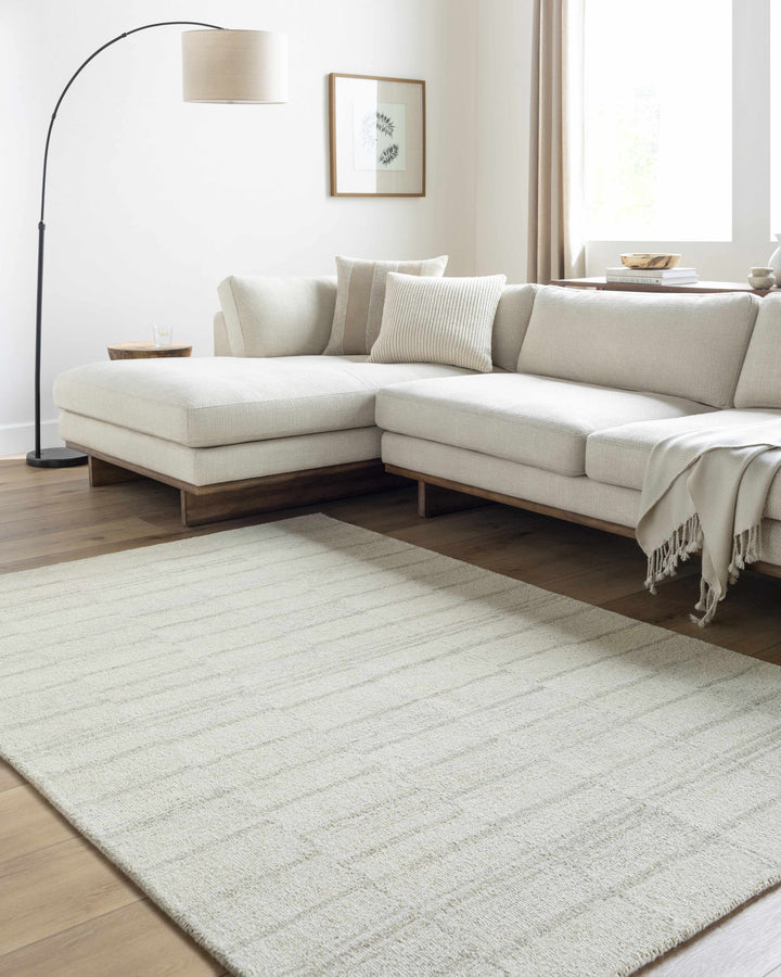 Onika Modern Style Gray Hand Tufted Wool Area Rug