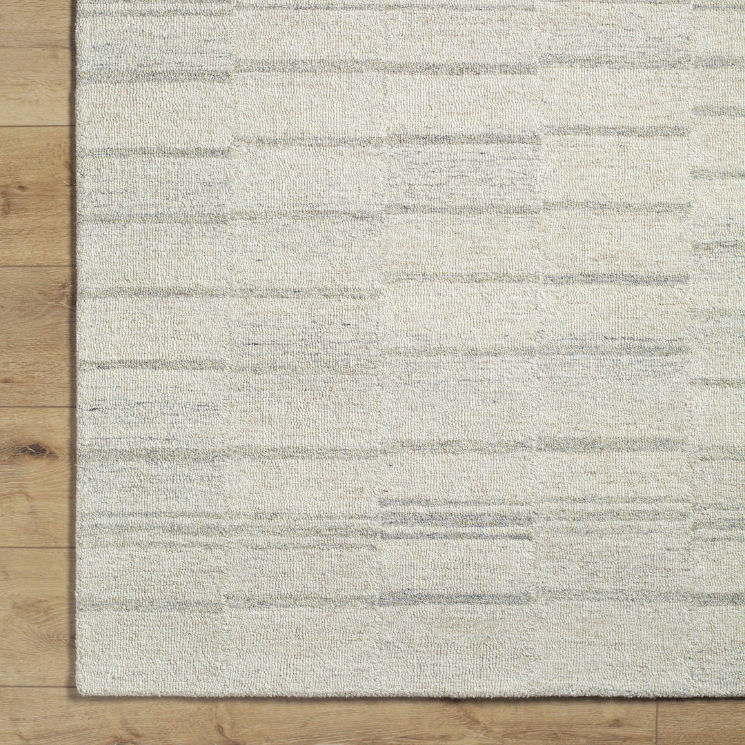 Onika Modern Style Gray Hand Tufted Wool Area Rug