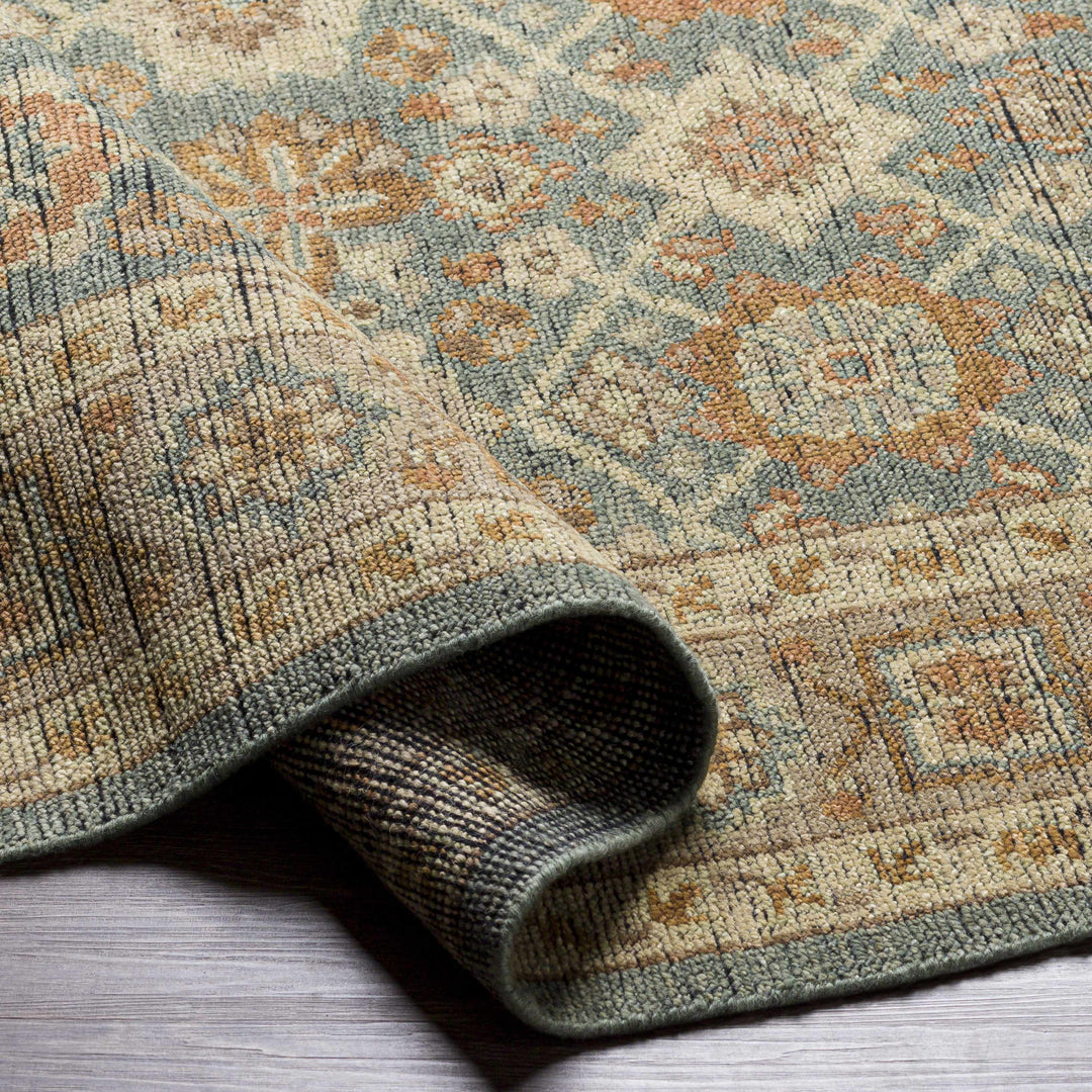 Rockton Traditional Style Beige And Blue Hand Knotted Area Rug