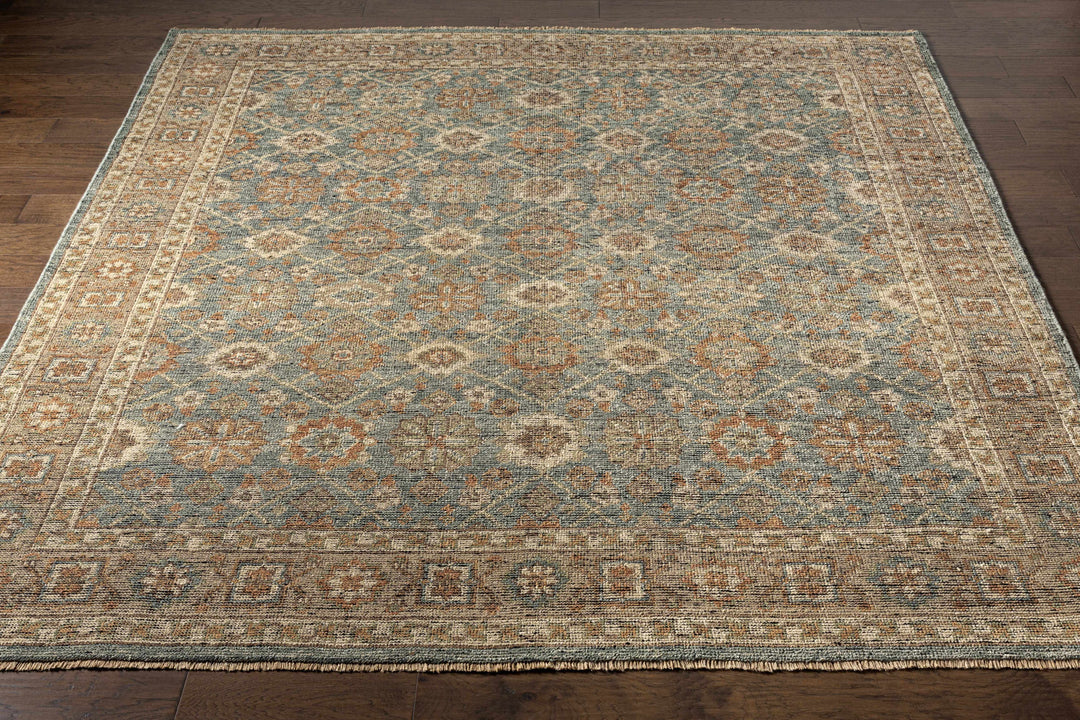 Rockton Traditional Style Beige And Blue Hand Knotted Area Rug