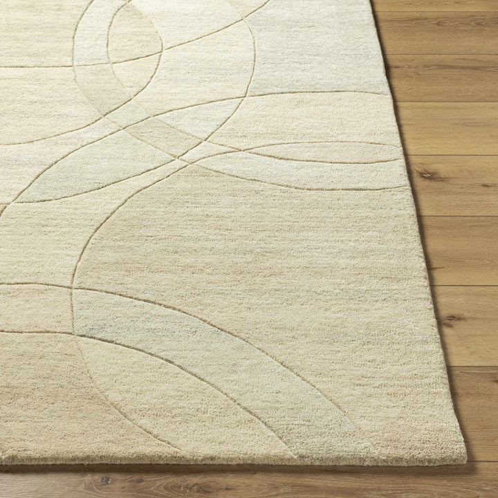 Rollo Contemporary Beige Area Rug - The Rug Decor