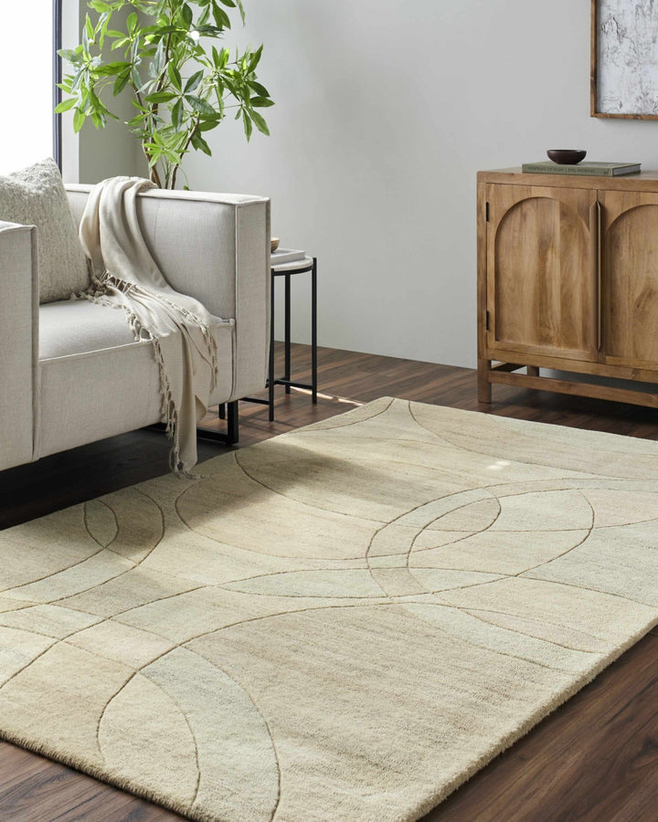 Rollo Contemporary Beige Area Rug - The Rug Decor