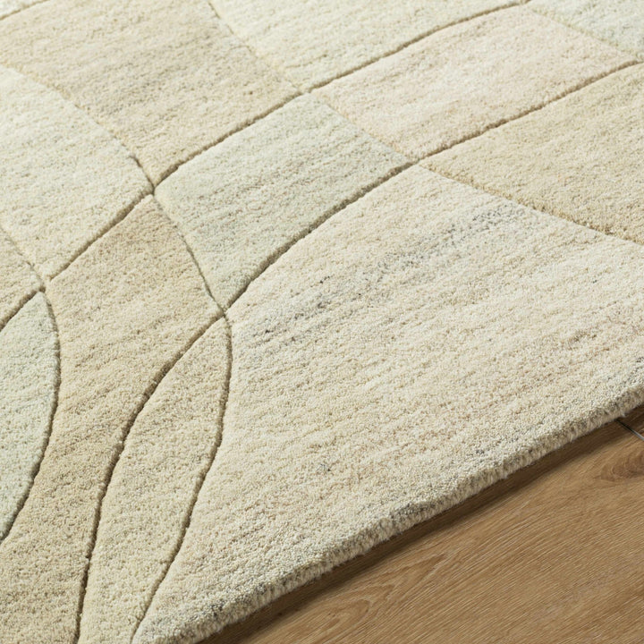 Rollo Contemporary Beige Area Rug - The Rug Decor