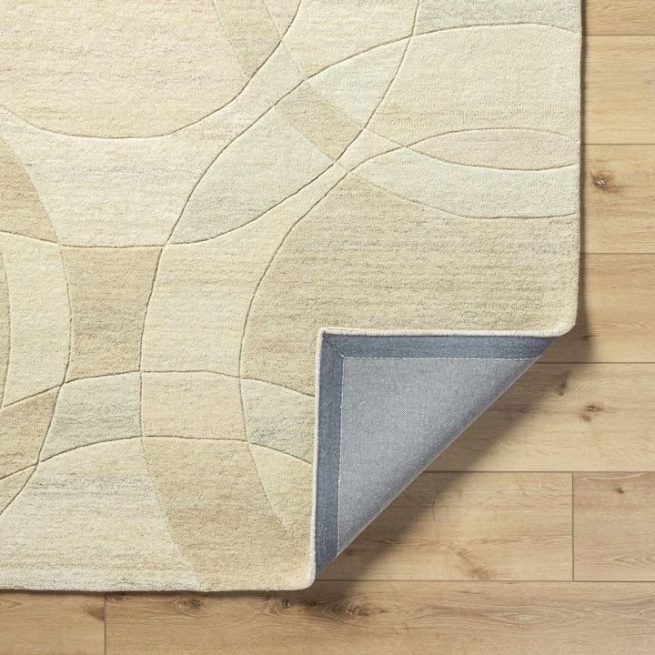 Rollo Contemporary Beige Area Rug - The Rug Decor