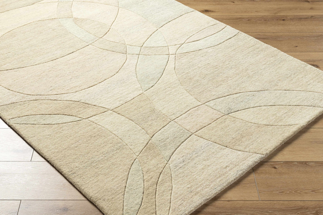 Rollo Contemporary Beige Area Rug - The Rug Decor